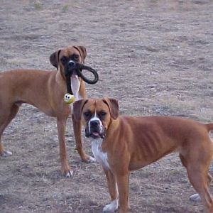 Our first camping trip