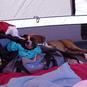My First Camping Trip