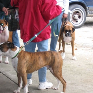 Pete struts stuff at Bash