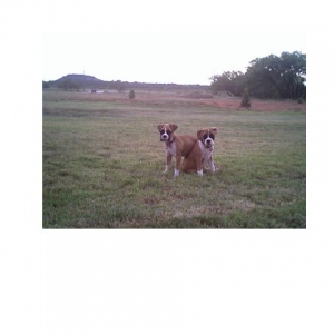 Best Friends