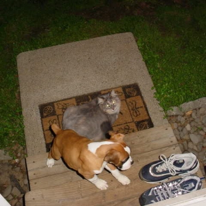Tyson and Cleo