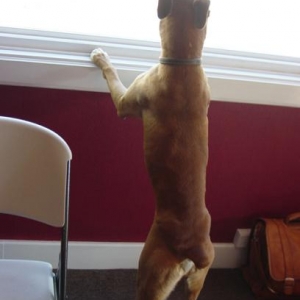 What's out there?