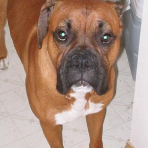 Yes, I know Im cute.. Stop taking pictures!!