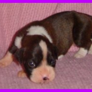 Look my back legs work!