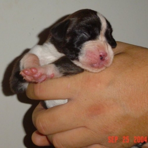 Get that light away!