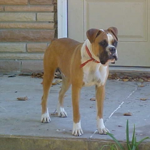 Ali @ 9months