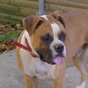 I want Dad!