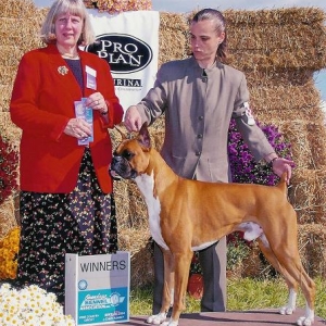 Cash Winners Dog