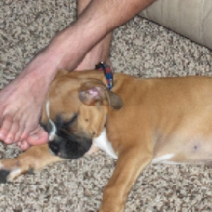 daddy's feet are so comfy!