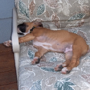 I'll sleep anywhere......