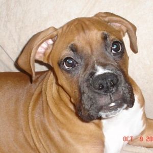 I Love my Ty