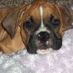 This is one of my favorite pictures of my little guy!