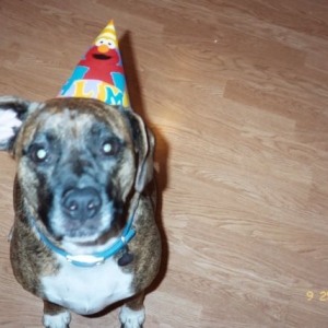 Samantha in Elmo party hat!!