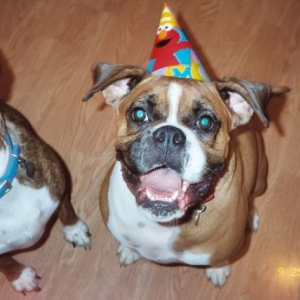 Beau in Elmo party hat!