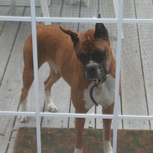 Please let me in...please...