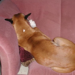 I'm pouting.  Have you noticed?
