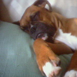 Nap Time