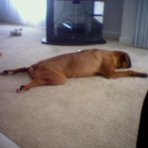 POOPED!