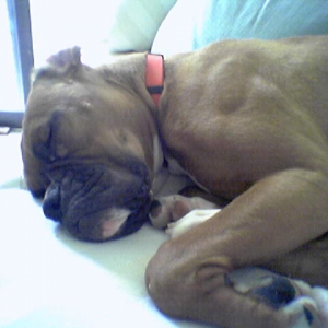 I know she is always napping!