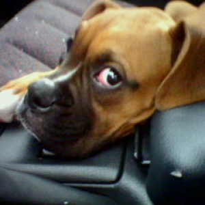 Lookin at my Eye Aintchya?