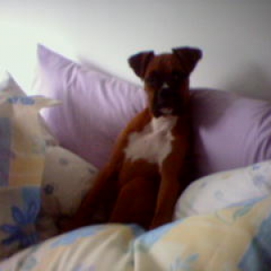 Lets Go to Bed