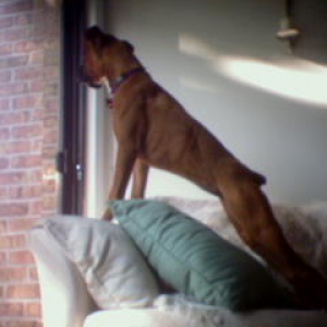 Who's There?