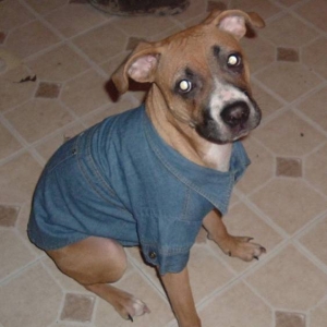 Winter wear :)