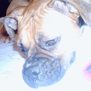 Libby Hamming it Up
