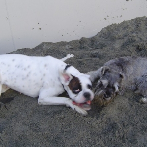 sandpit2