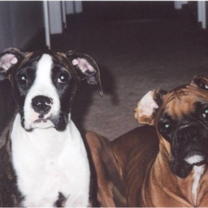 Taya & Mateus