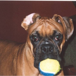 Mateus & his ball