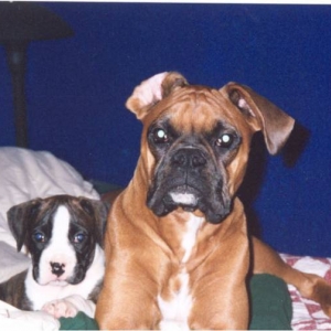 Bed buddies
