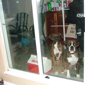 Wheres our Turkey???