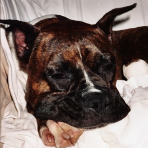 Sleeping is so wonderful!