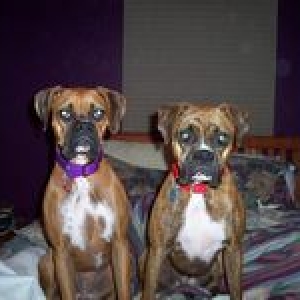 Naomi (right) and Maggie!
