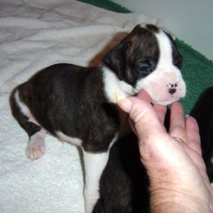 Im only 3 weeks.