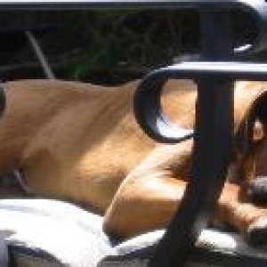 Fassst asssleeep zzzzzzzz