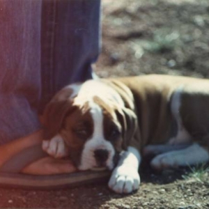 Kruger, First Day Home