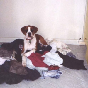 Doin The Laundry