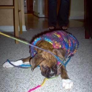 Preaparing for winter...