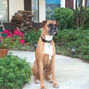 Buster