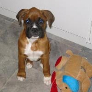 Just a bub at 10 weeks