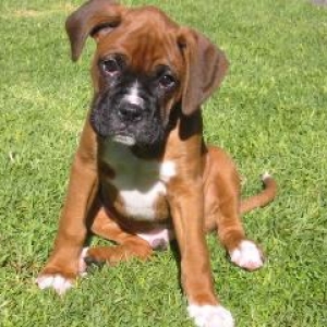 What a cutie!
