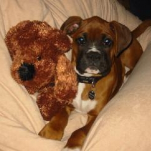 Relaxing with teddy