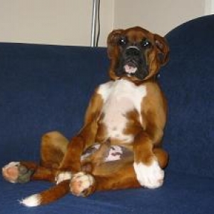 It's a hard life!