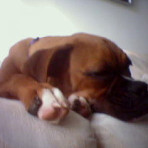 Sleeping Beauty