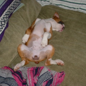 Rough Day