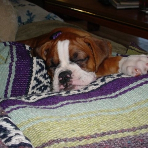 Aren't I cute