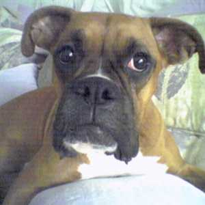 Can I PLEASE got to bed now?