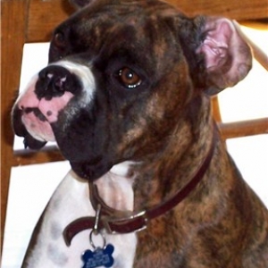 inside out ears